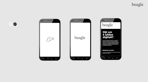 Bilde av Beagle på digitale flater