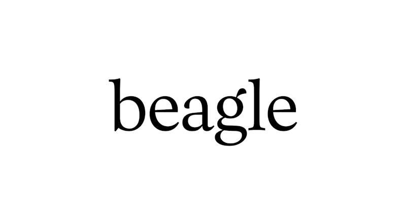 Beagle hero