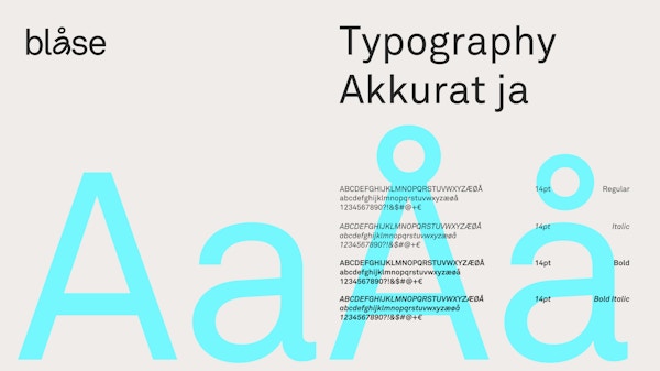 Blaase typography